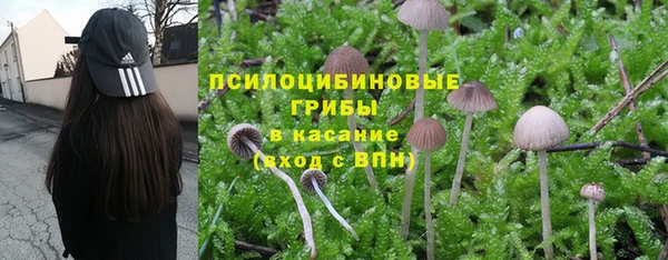 COCAINE Заводоуковск