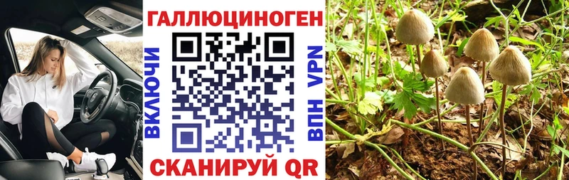Купить закладки  Данков  Псилоцибиновые грибы мухоморы 